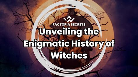 The Mysterious Prophecies of The Coal Hearted Witch Saga
